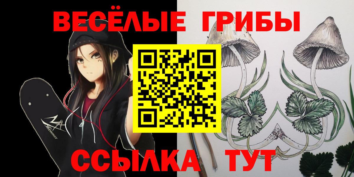 Псилоцибиновые грибы MAGIC MUSHROOMS Зима