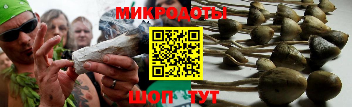 Зима  Галлюциногенные грибы ЛСД  Вход с VPN 